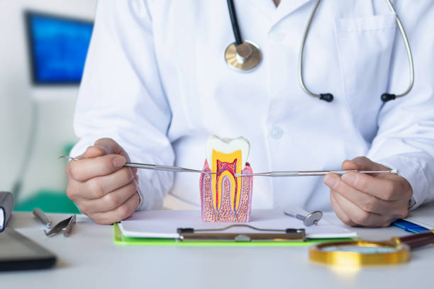 Best Emergency Orthodontic Repairs in Brownsboro, TX